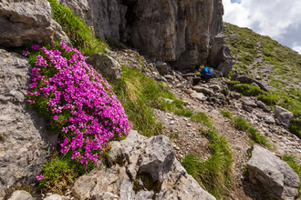 coenweesjes-2014-06-5810.jpg