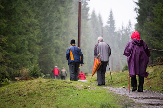 wandern-bei-der-wander-wm-filzmoos.jpg