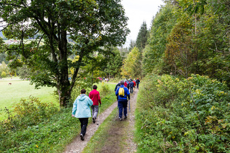 wandern-in-filzmoos.jpg